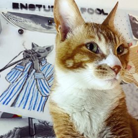 4AE27897-814D-4FF1-B5B6-694D5C934CCB